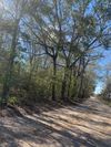 220 Lormand Rd photo